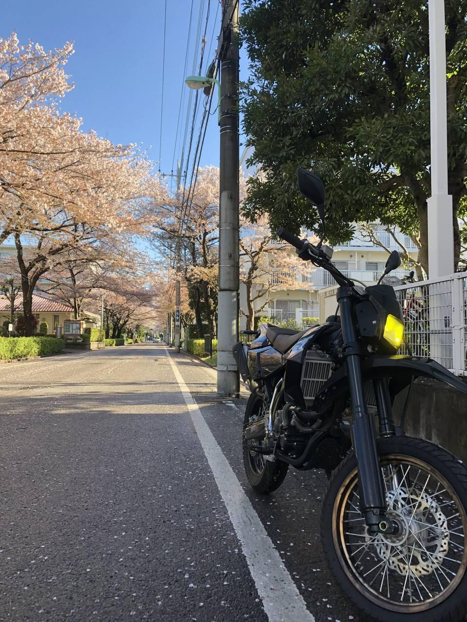 代表が乗り継いできたバイク（20枚目）