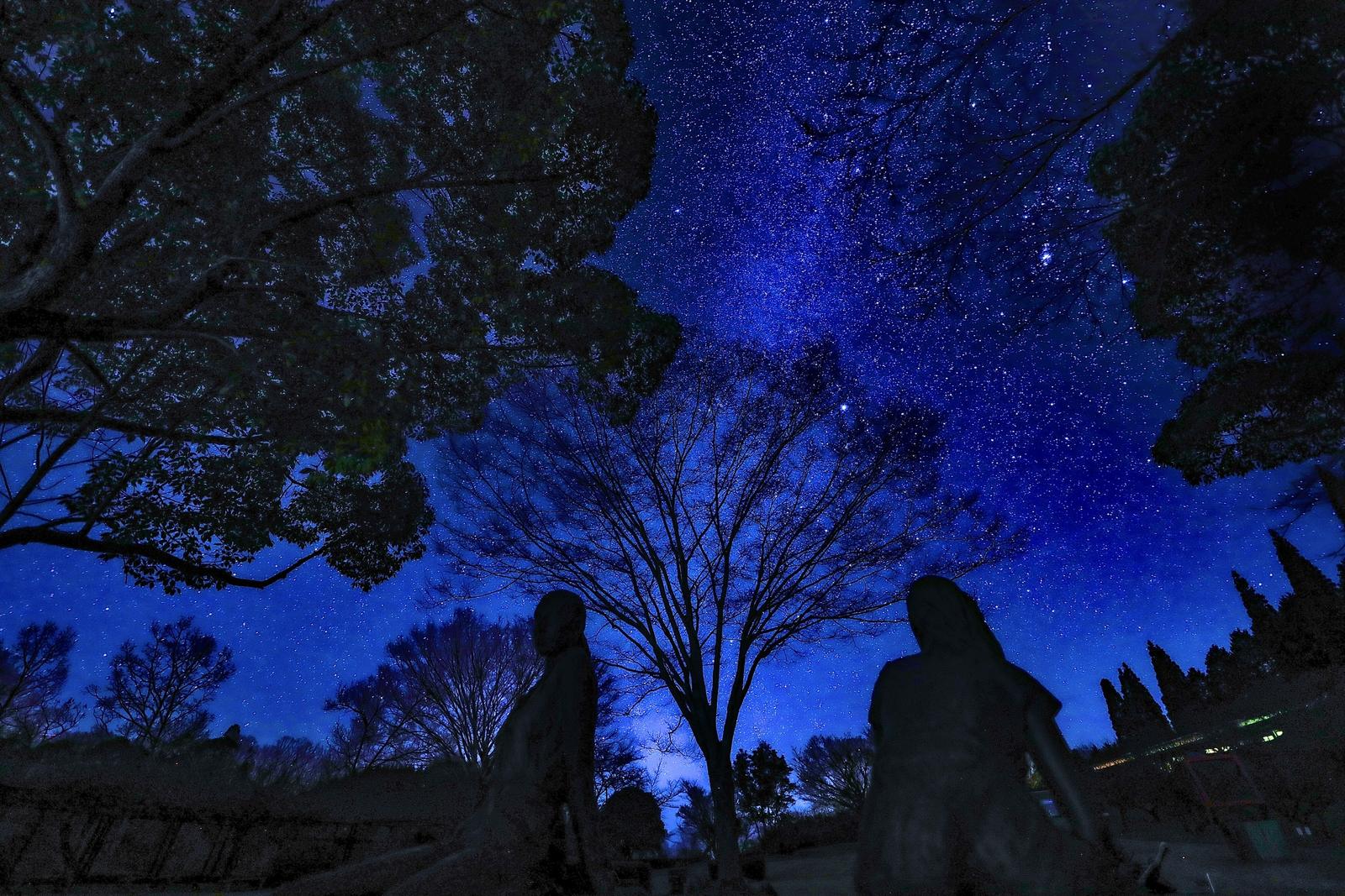 代表が撮影した星景写真(57枚目)