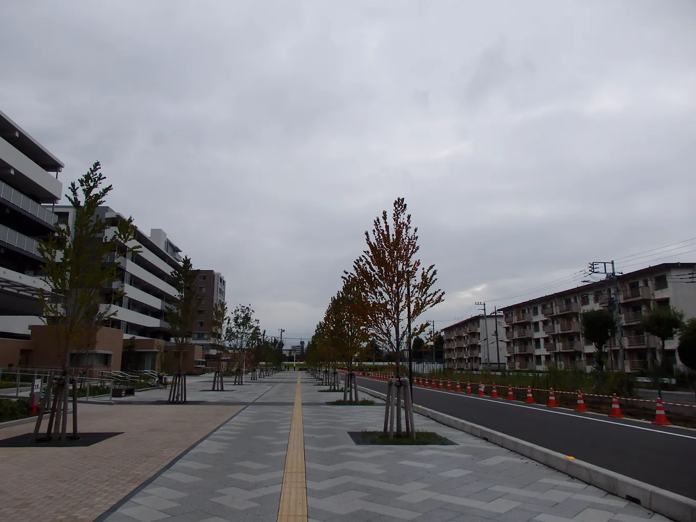 建て替えが進む草加市松原の新しいマンション群と旧団地の住棟